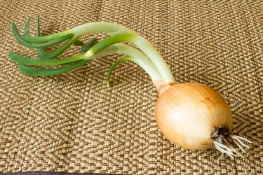 Similar image 6620036