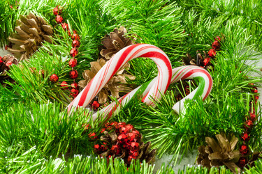 Similar image 6620135