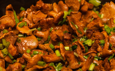 Similar image 6620159