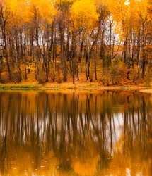 Similar image 6620163