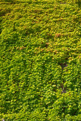 Similar image 6620187