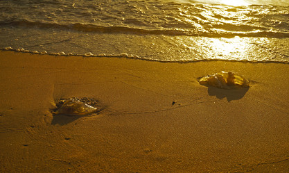 Similar image 6620235