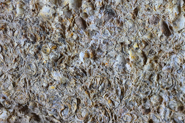 Similar image 6620430