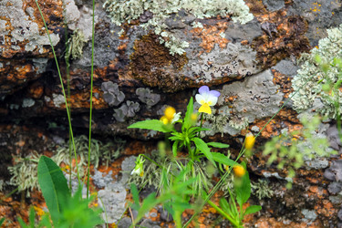 Similar image 6620444