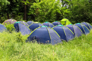 Similar image 6620454