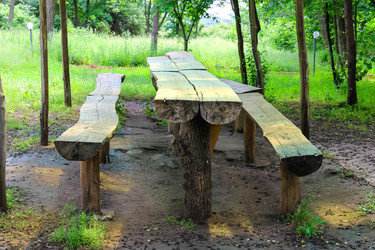 Similar image 6620459