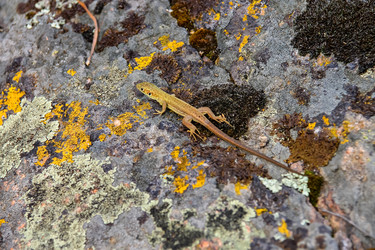 Similar image 6620463