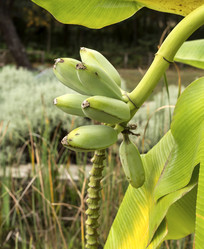 Similar image 6620622