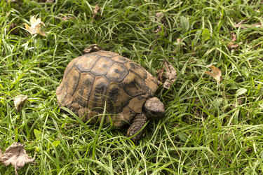 Similar image 6620639