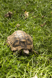 Similar image 6620640