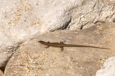 Similar image 6620641