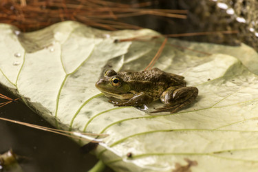 Similar image 6620642