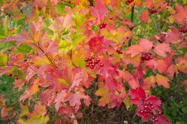 Similar image 6621078