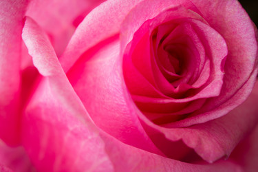 Similar image 6621169