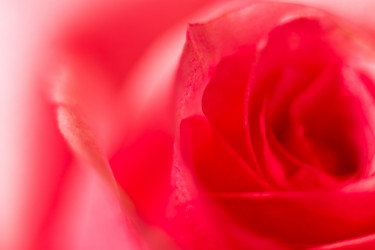 Similar image 6621172