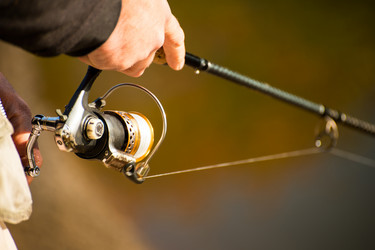 Similar image 6621236