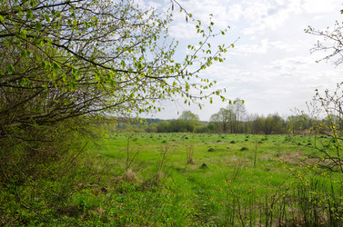 Similar image 6621251