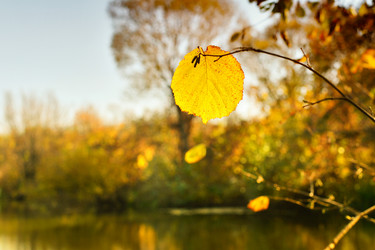 Similar image 6621268