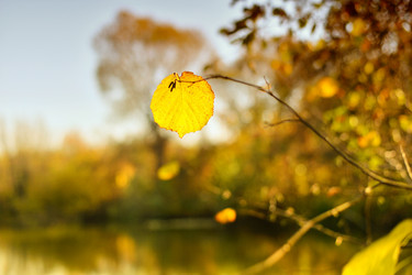 Similar image 6621269