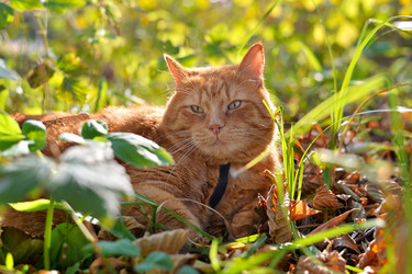 Similar image 6621270