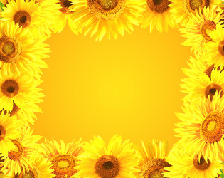 Similar image 6621277