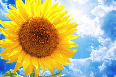 Similar image 6621279