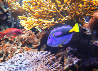 Similar image 6621280