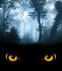 Similar image 6621281