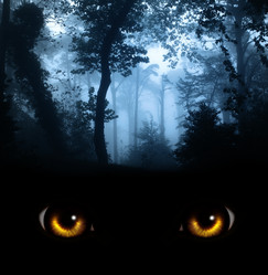 Similar image 6621301