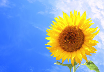 Similar image 6621363