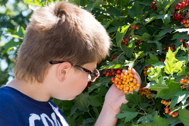 Similar image 6621390