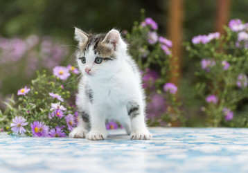 Similar image 6621401