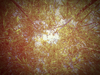 Similar image 6621455