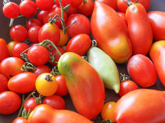 Similar image 6621483