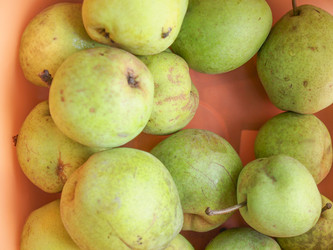 Similar image 6621484