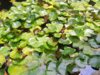 Similar image 6621532