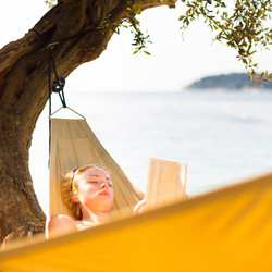 Similar image 6621568