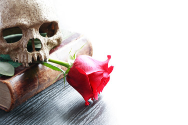 Similar image 6621762