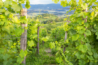 Similar image 6621778