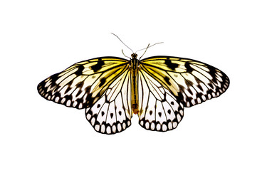 Similar image 6621806