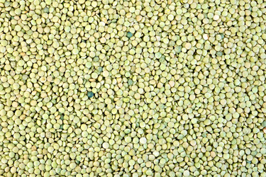 Similar image 6622027