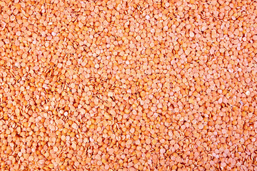 Similar image 6622046