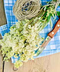 Similar image 6622081