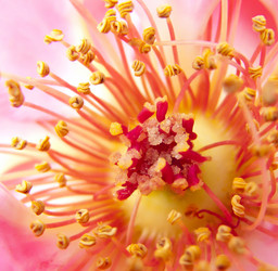 Similar image 6622391