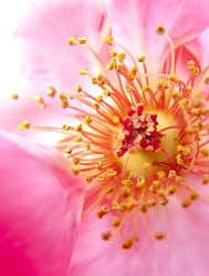 Similar image 6622392