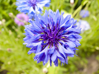 Similar image 6622480