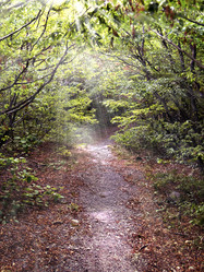 Similar image 6622489