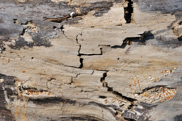 Similar image 6622499