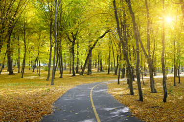 Similar image 6623339