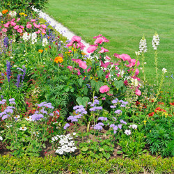 Similar image 6623342